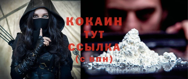хмурый Белокуриха