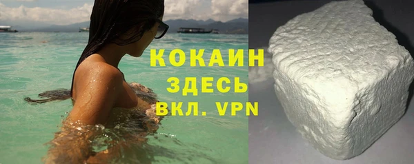 хмурый Белокуриха