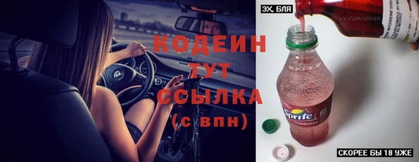 хмурый Белокуриха