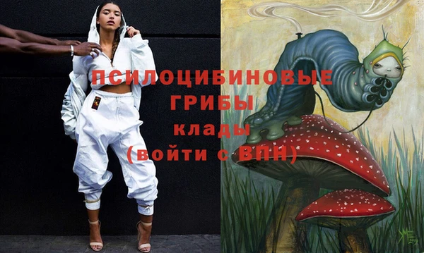 хмурый Белокуриха