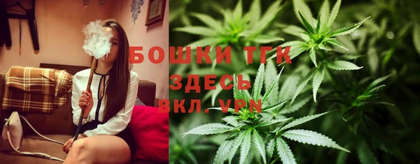 СК Каменногорск
