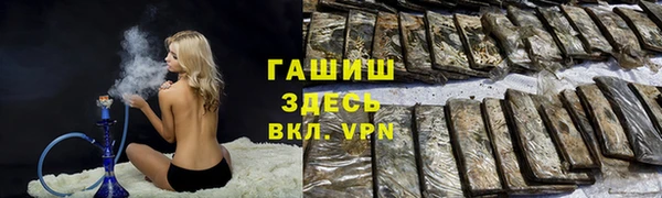 хмурый Белокуриха